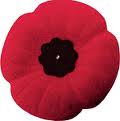 The Poppy is an international symbol of remembrnce